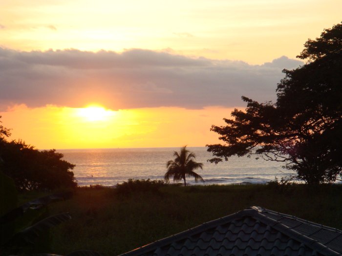 Nosara Beach House Rental With Swim Up Bar