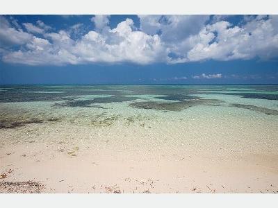 45_grand-cayman-island-coconut-beach-villa-beach-front